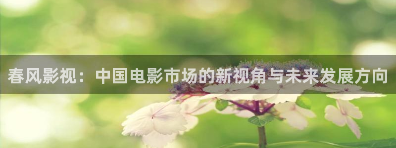 麻豆影院下载：春风影视：中国电影市场的新视角与未来发展方向