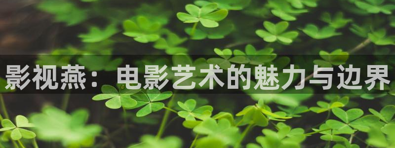 麻豆区电影：影视燕：电影艺术的魅力与边界