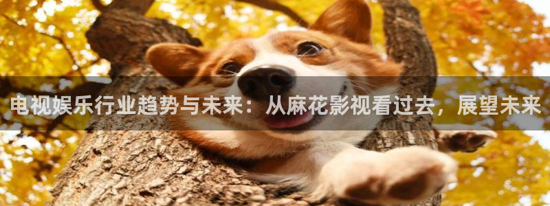 麻豆电影视频在线观看：电视娱乐行业趋势与未来：从麻花影视看过去，展望未来