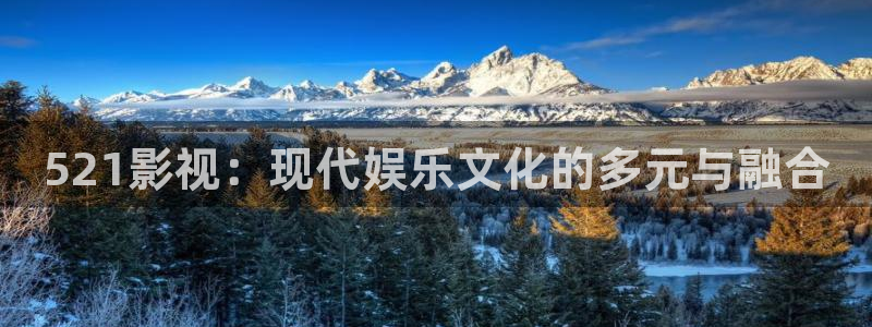 午夜电影国产精品麻豆