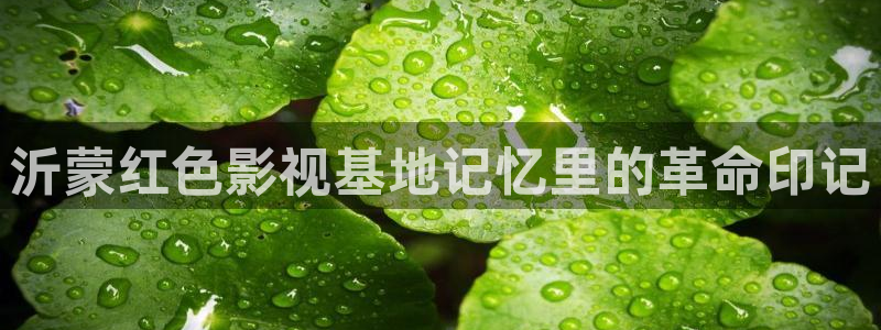 麻豆影视精品在线观看：沂蒙红色影视基地记忆里的革命印记