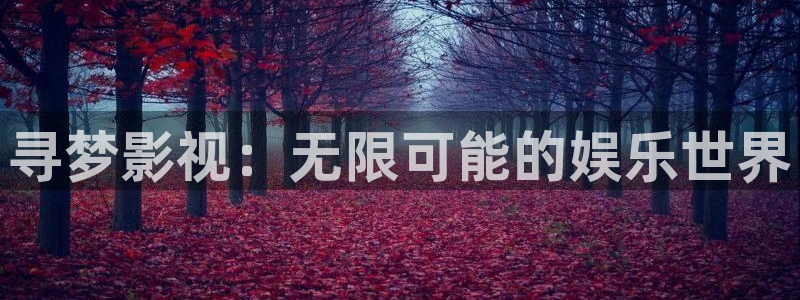麻豆免费影视
