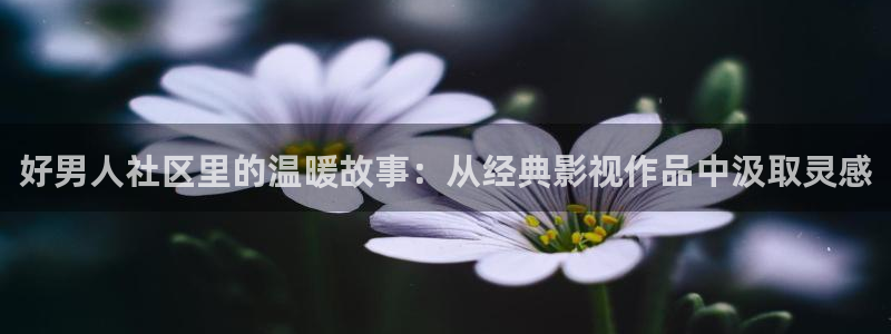 免费视频网站观看麻豆理论片