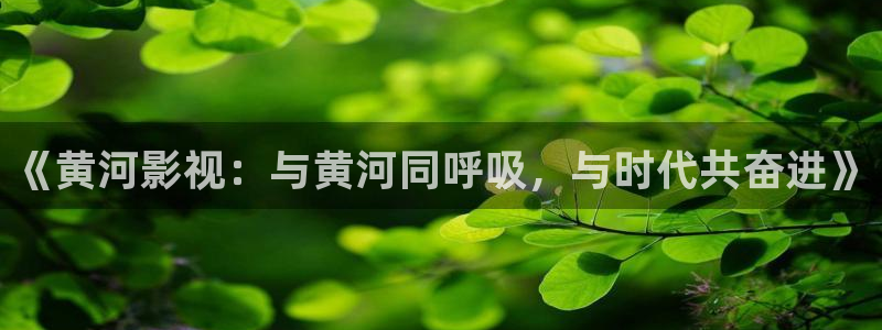 91麻豆电影网