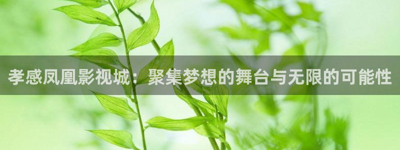 麻豆成年人电影